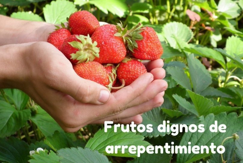 Mandamientos de Jesucristo de Dar Frutos dignos de Arrepentimiento, Buenos Frutos #9